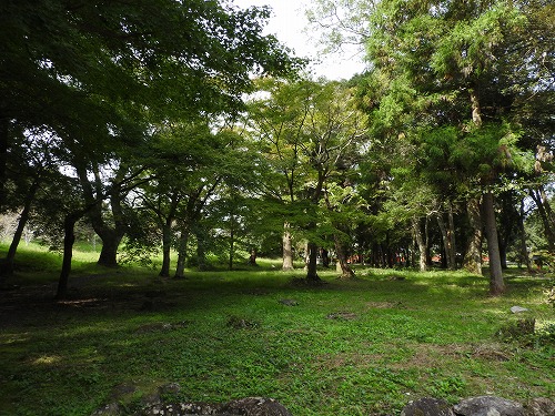 弥勒寺跡4