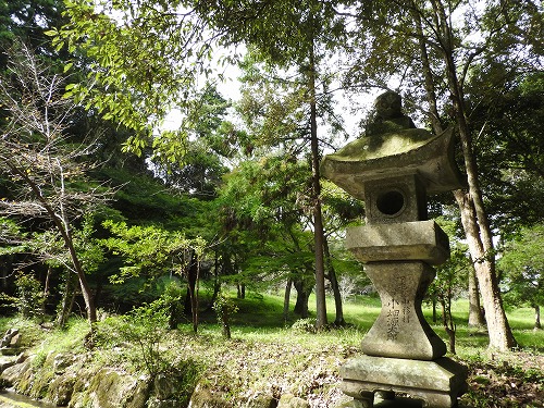 弥勒寺跡6