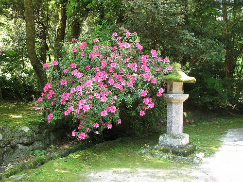 弥勒寺跡14
