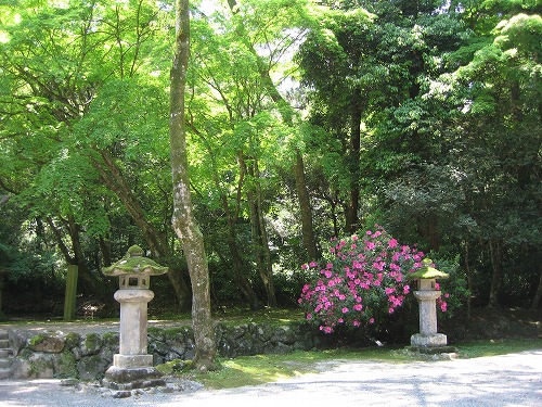 弥勒寺跡15