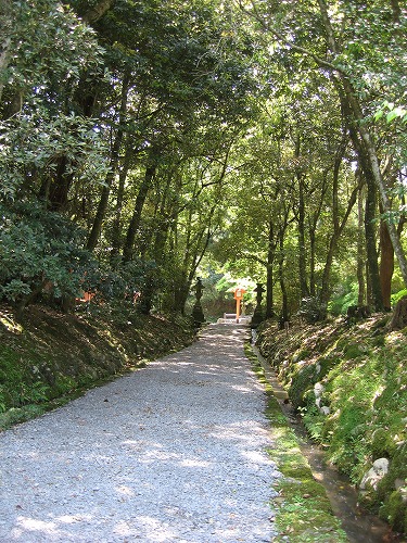 弥勒寺跡20