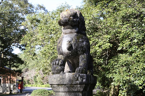 狛犬6
