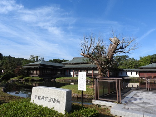 初澤池2