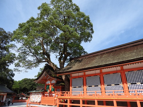 若宮神社2