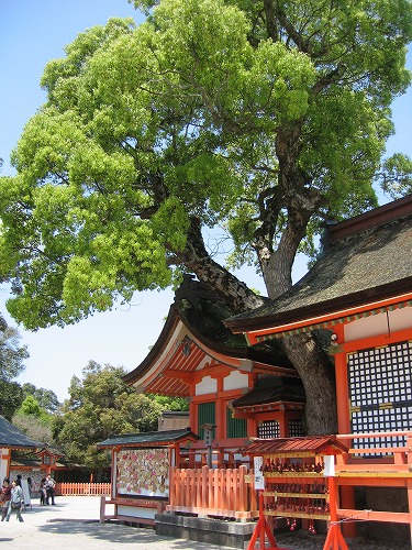 若宮神社4