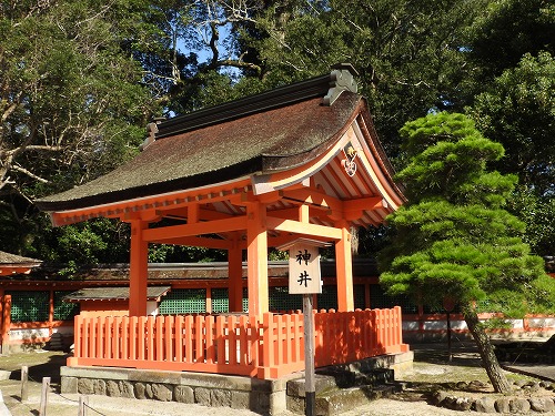 神井1