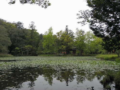 菱形池1