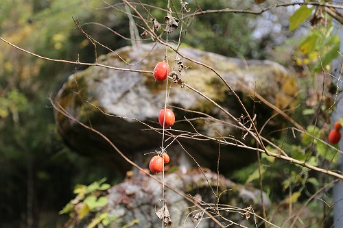 龍岩寺3