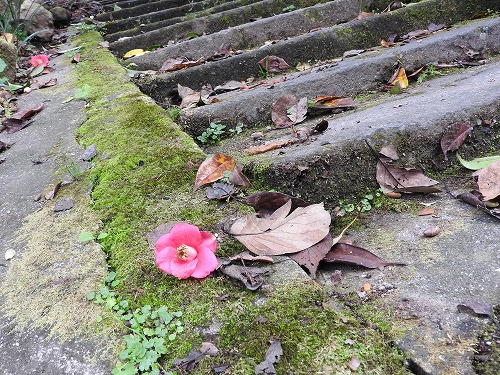 龍岩寺11