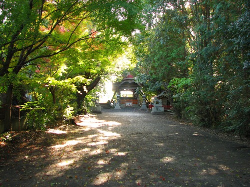 薦神社7