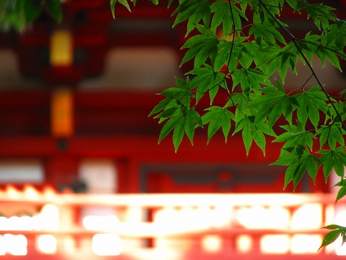 薦神社17
