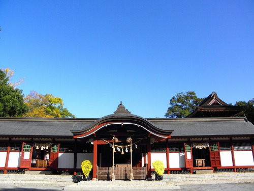 薦神社18