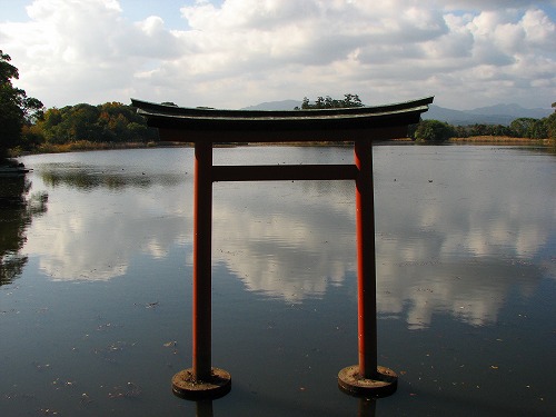 三角池8