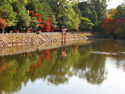 三角池7