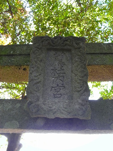 三角池15