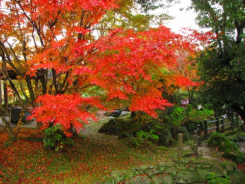 神護寺7