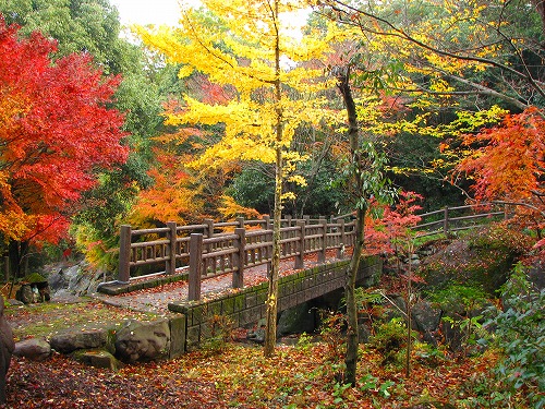 神護寺14