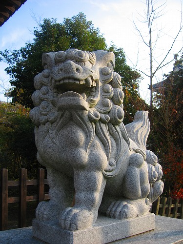 中津大神宮6