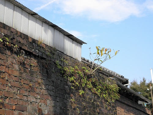二王座歴史の道4