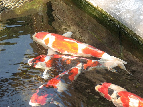 稲葉家下屋敷6