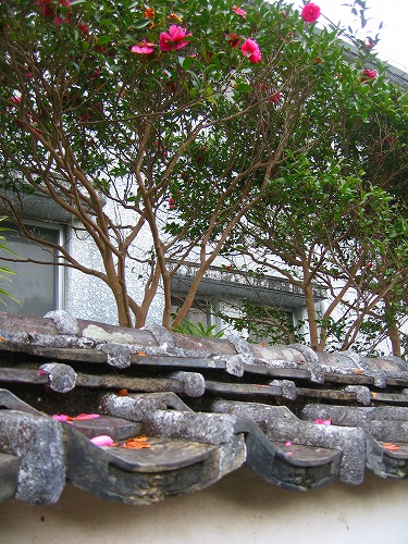佐伯の城下町18