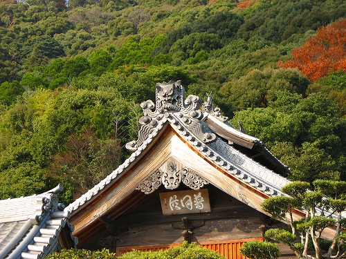 養賢寺5