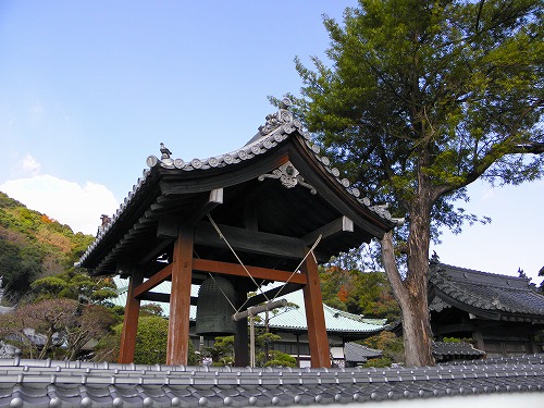 養賢寺11