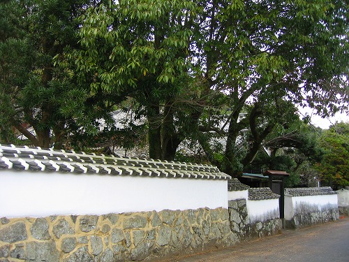養賢寺12