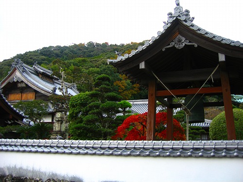 養賢寺10
