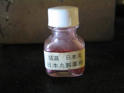 日本丸5