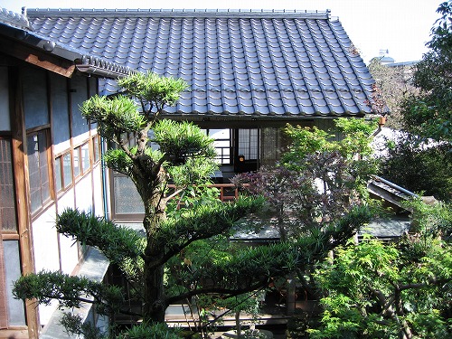 日本丸11