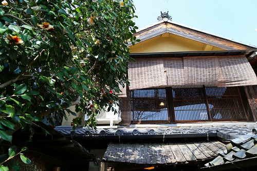 嶋屋の中庭17
