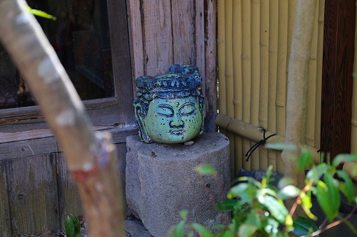 嶋屋の中庭14