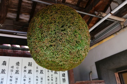 薫長2