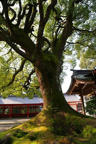 大原八幡宮29
