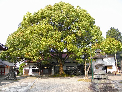 大原八幡宮27