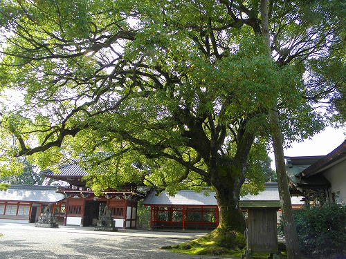 大原八幡宮28