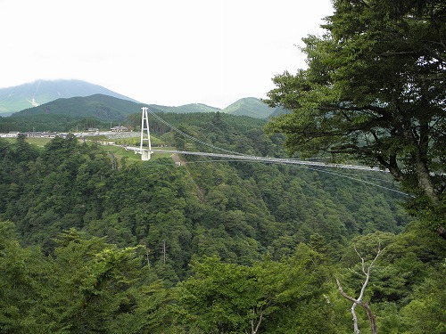 九重夢大吊橋4
