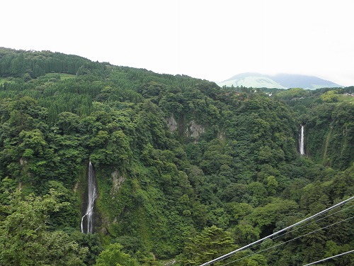 九重夢大吊橋6