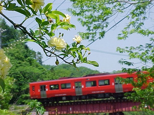 鉄橋1