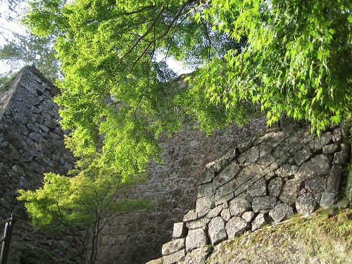 岡城阯5