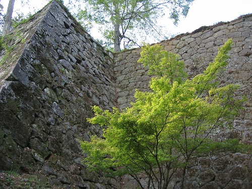 岡城阯6