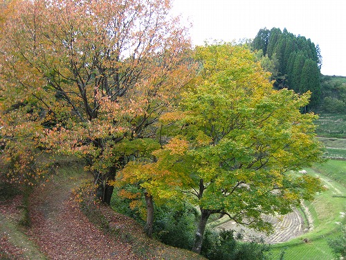 秋の岡城35