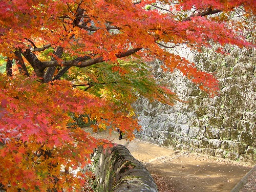 秋の岡城1