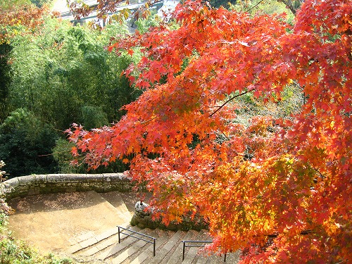 秋の岡城2