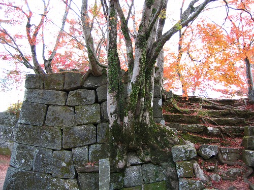 秋の岡城8