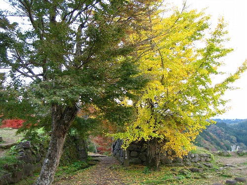 秋の岡城36