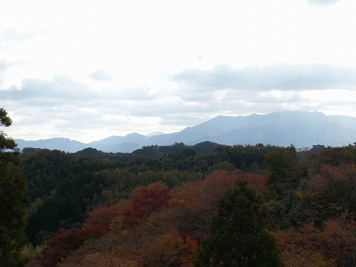 秋の岡城33