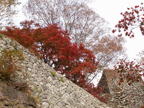 秋の岡城9