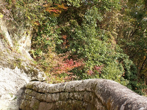 秋の岡城37